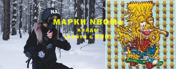 прущая мука Вяземский