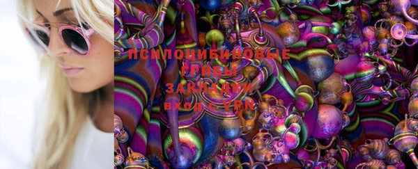 прущая мука Вяземский