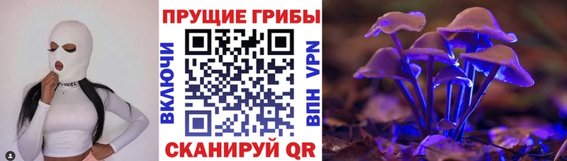 Псилоцибиновые грибы ЛСД  гидра ссылка  Кострома 